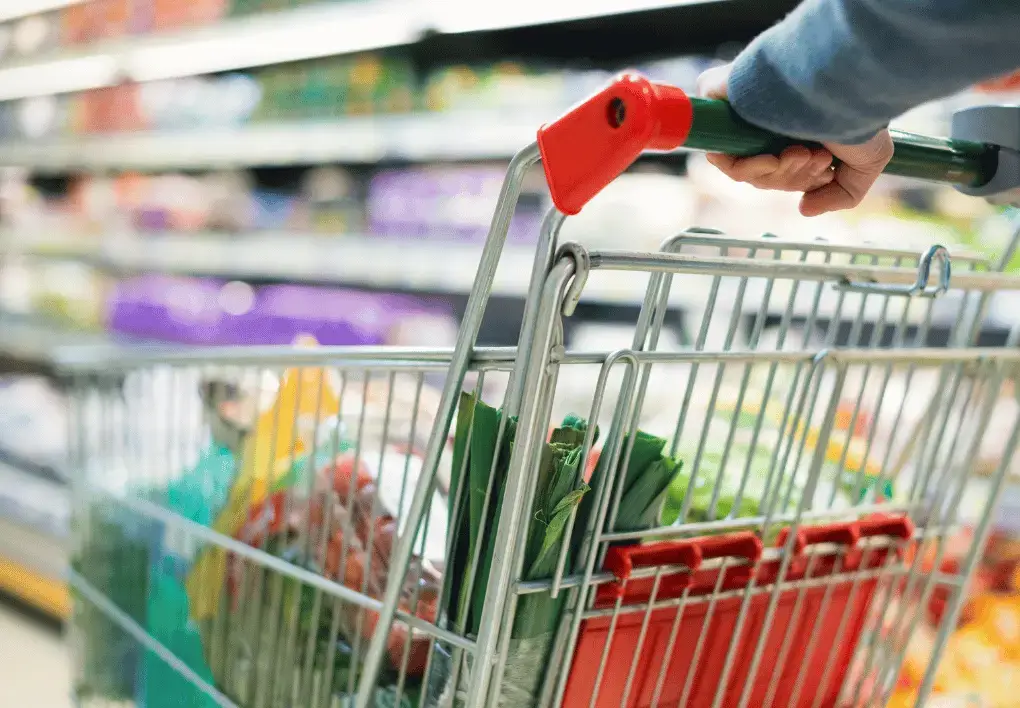 Image of person pushing shopping trolley